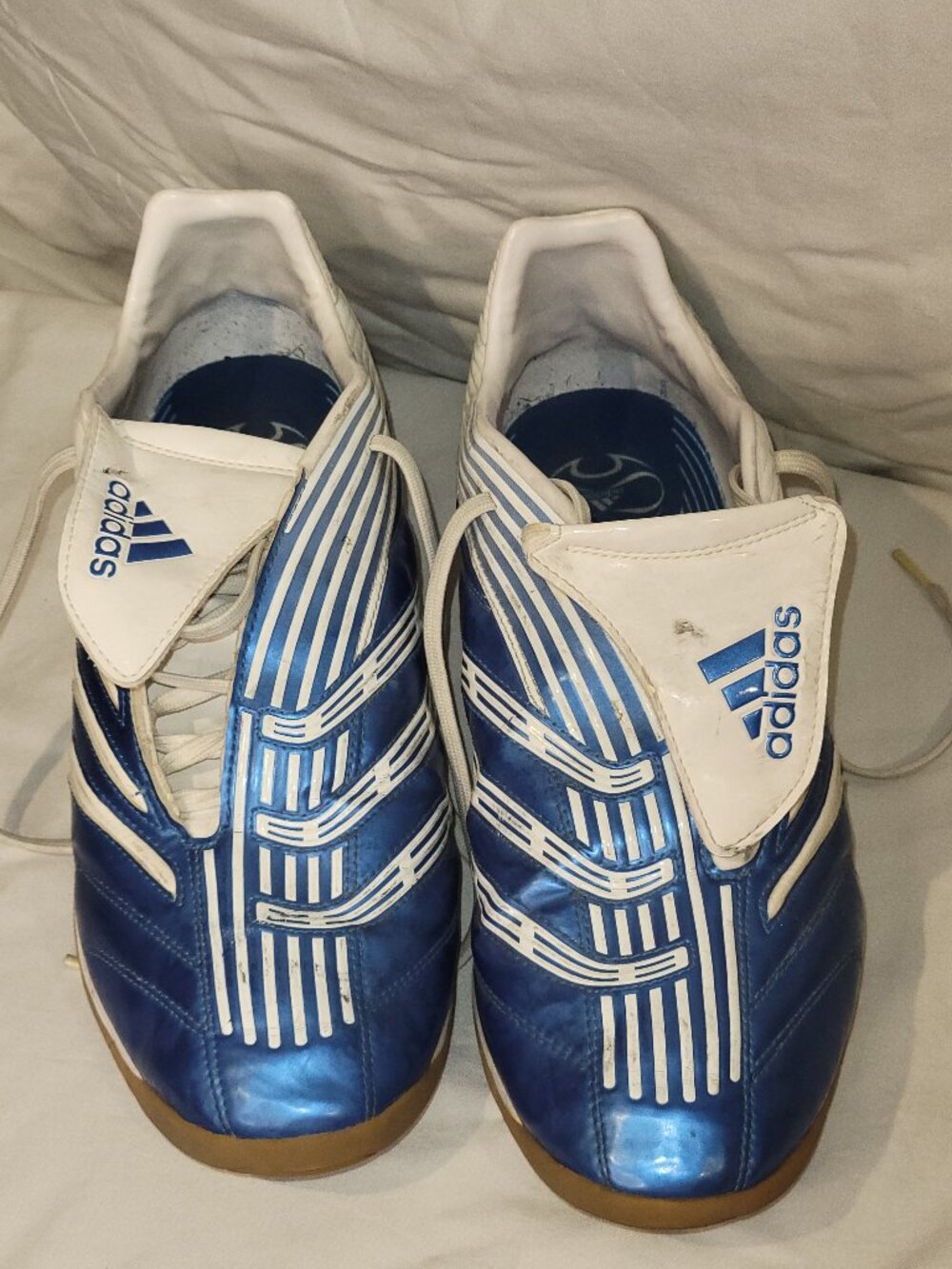 Adidas Predator Absolado Indoor Shoes White and Metallic Blue